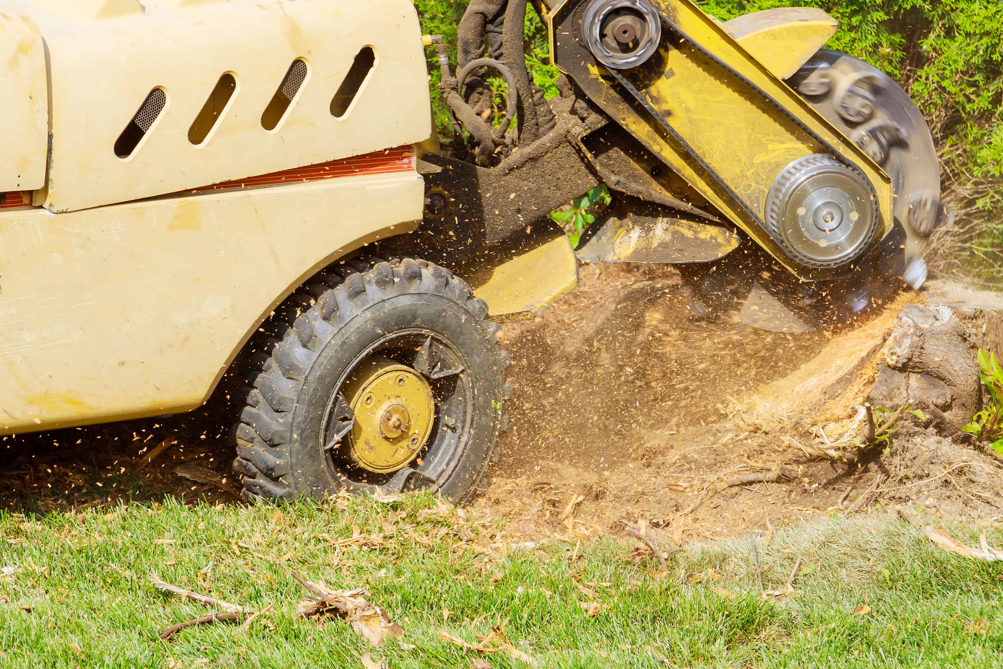 Stump Removal image
