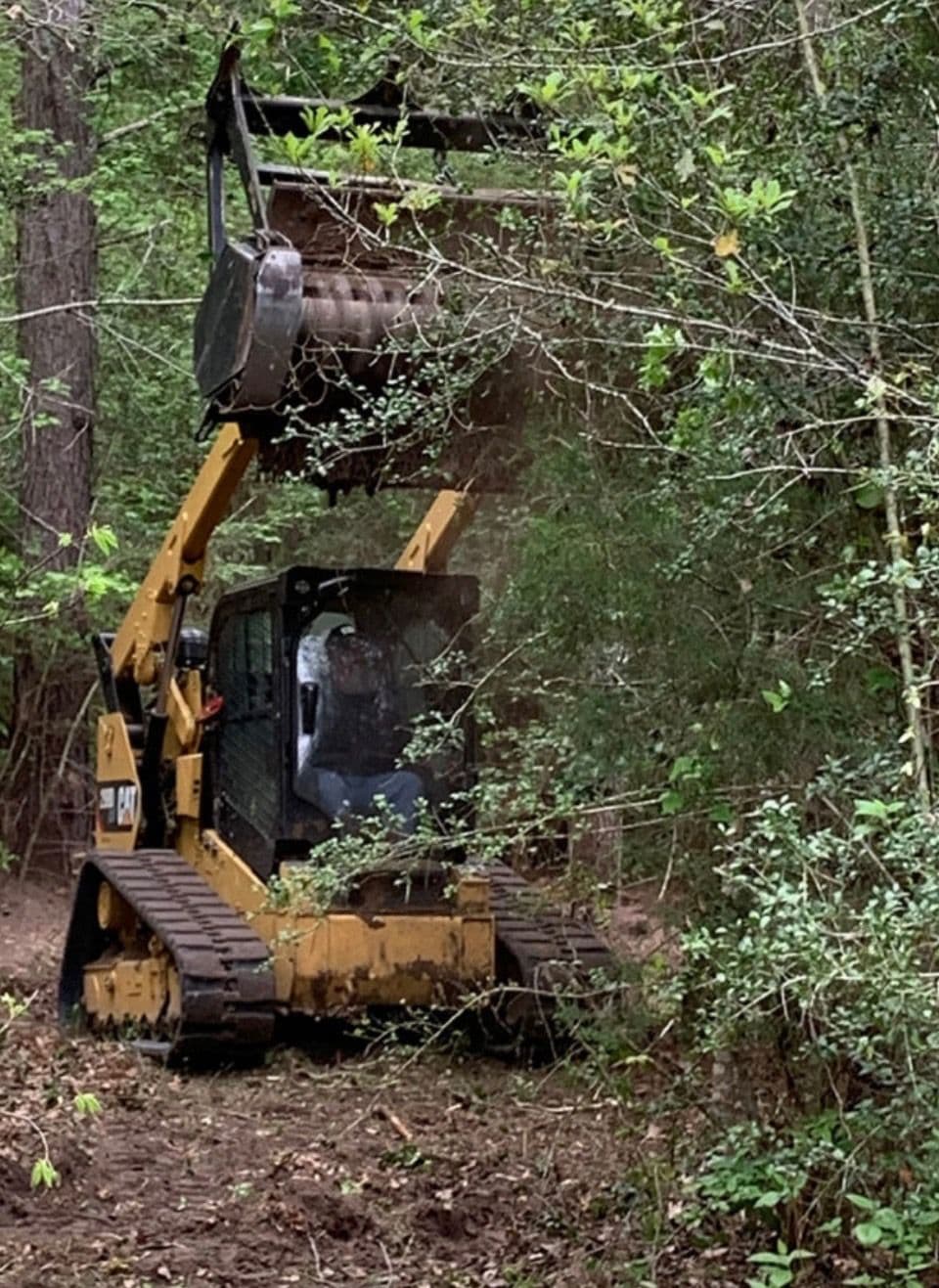 Gallery photos for Effective Land Clearing in Fort Pierce: Image #1