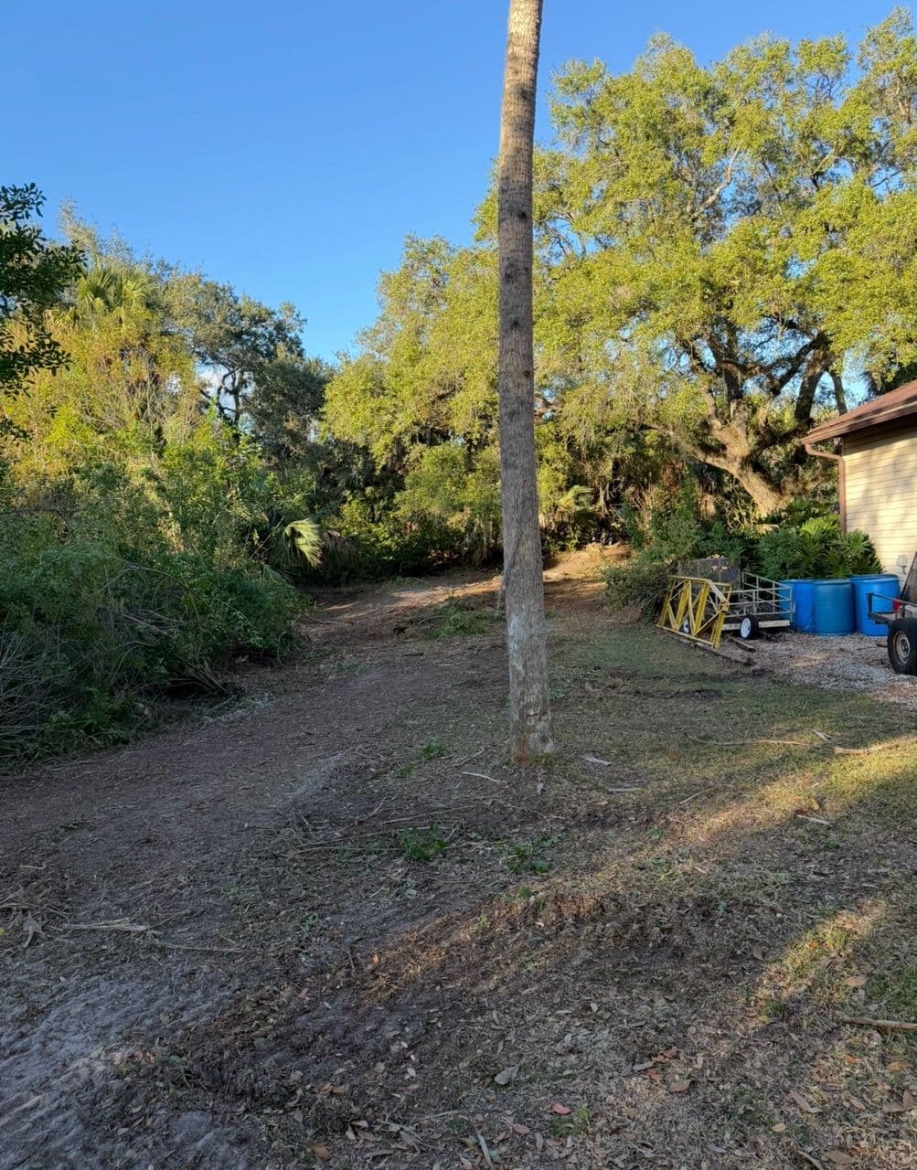 Project Backyard Land Clearing and Clean-Up image