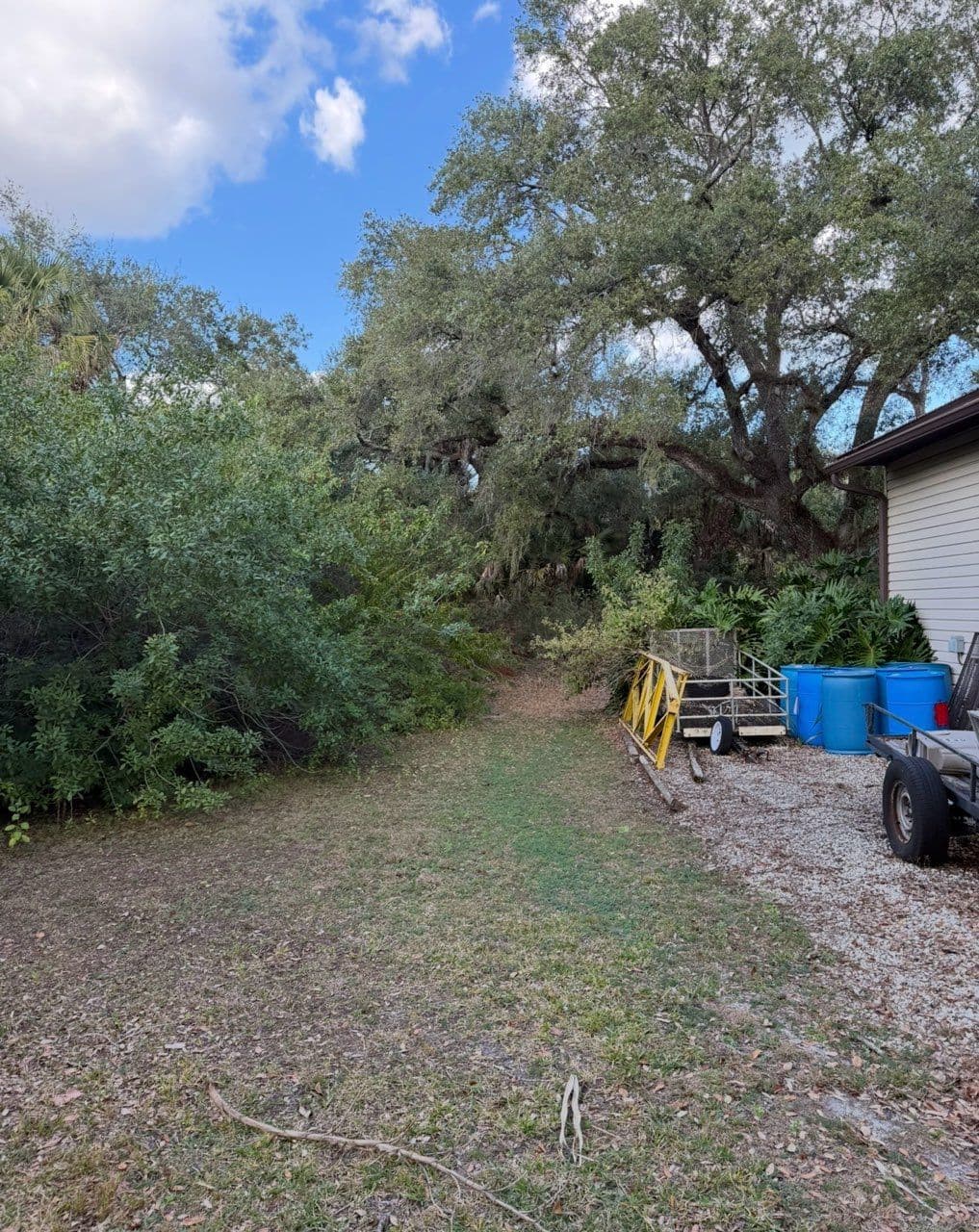 Gallery photos for Backyard Land Clearing and Clean-Up: Image #1