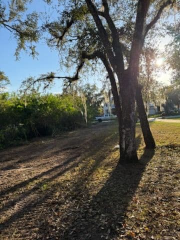 Expert Lot Cleanup for a Pristine Outdoor Space