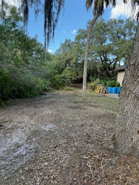 Expert Lot Cleanup for a Pristine Outdoor Space
