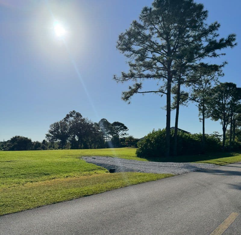 Gallery photos for Unveiling Our Reliable JCB Skid Steer Loader: Image #1